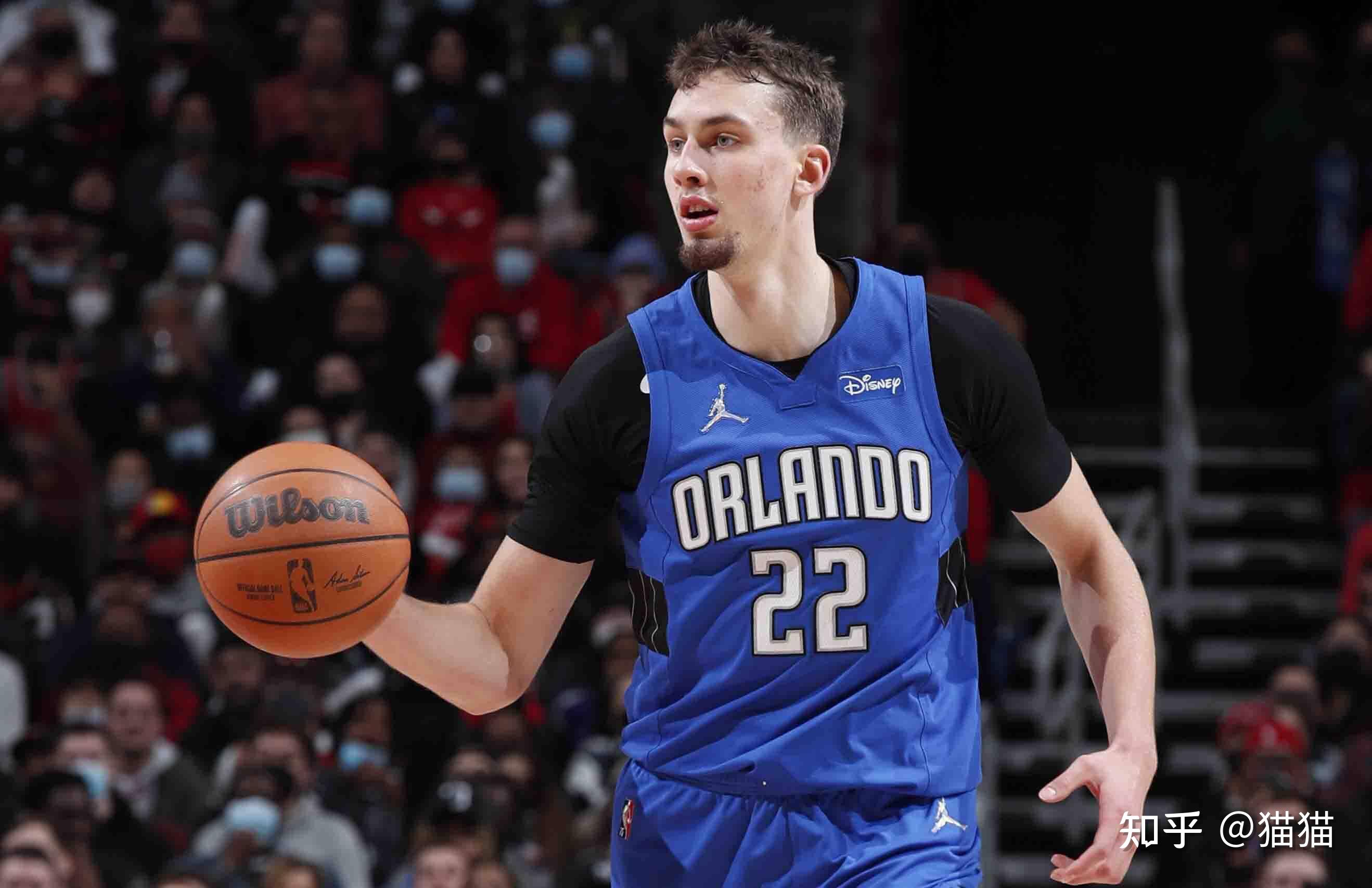 自己的阵容 自己的阵容