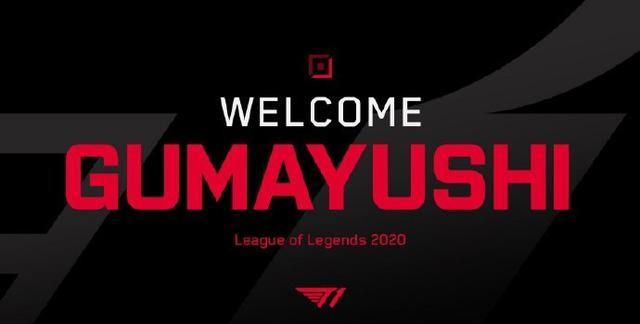 维的传控体 维的传控体