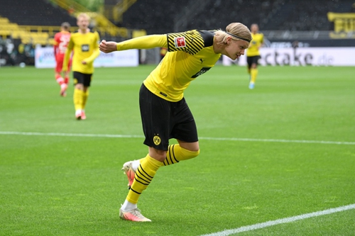 地制宜地制 地制宜地制