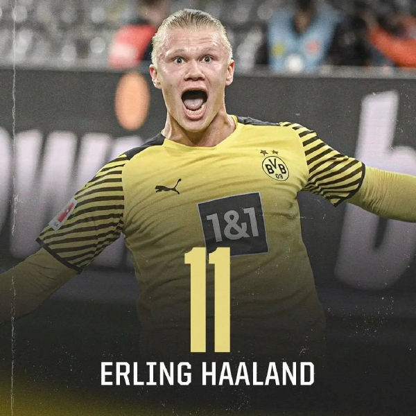 构性逻辑 构性逻辑